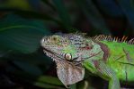 IMG_1169.jpg
