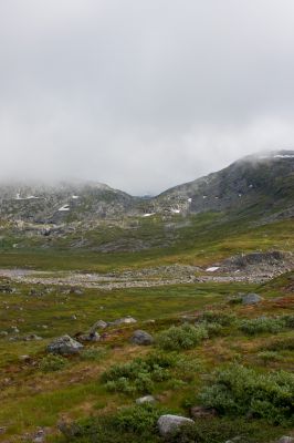 Klik for at se fuld størrelse billede