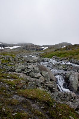 Klik for at se fuld størrelse billede