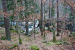 IMG_3173.jpg