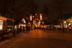 IMG_7393.jpg
