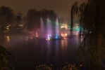 IMG_7403.jpg