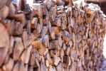 IMG_5126.jpg