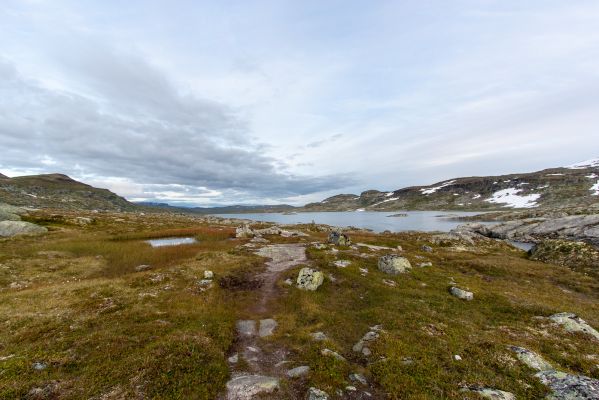 Klik for at se fuld størrelse billede