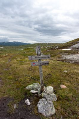 Klik for at se fuld størrelse billede