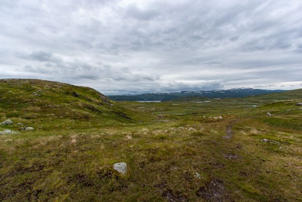 Klik for at se fuld størrelse billede