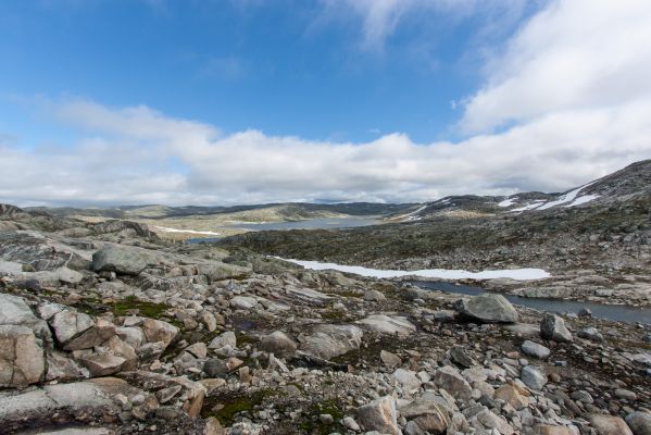 Klik for at se fuld størrelse billede