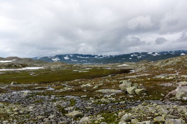 Klik for at se fuld størrelse billede