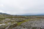IMG_5839.jpg