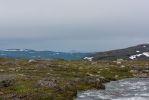 IMG_5843.jpg