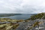 IMG_5893.jpg