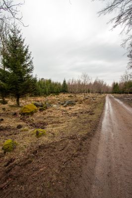 Klik for at se fuld størrelse billede