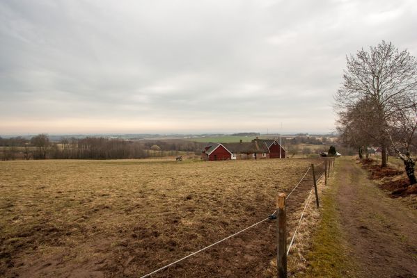 Klik for at se fuld størrelse billede