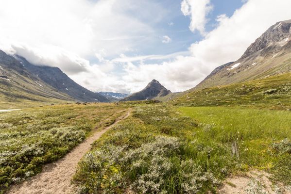 Klik for at se fuld størrelse billede