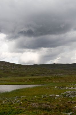 Klik for at se fuld størrelse billede