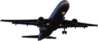 Fly